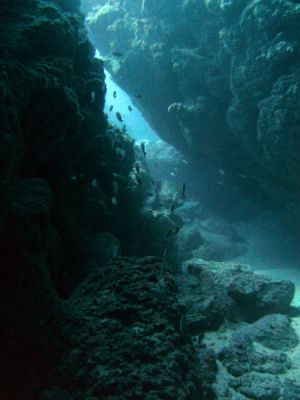 Cueva de Chopa Sitio de Buceo Las Galeras Samaná